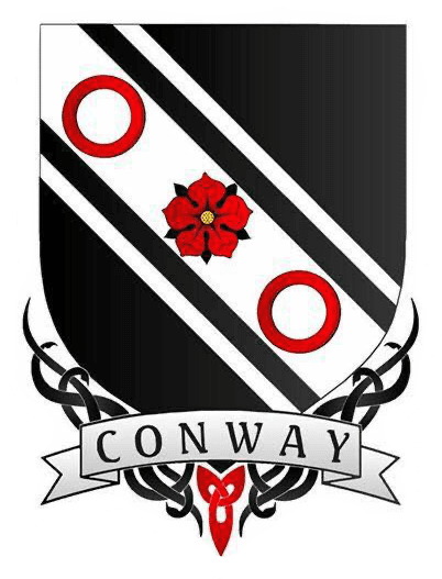 logo for Finbarr Conway Academy Feis