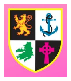The feis logo.