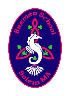 logo for Bremer School of Irish Dance